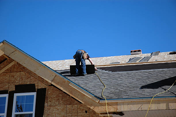 Best Roof Ventilation Installation  in Morton Grove, IL