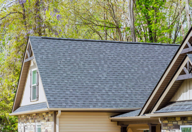 Best Chimney Flashing Repair  in Morton Grove, IL